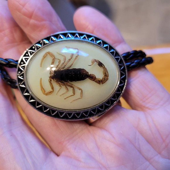 Bolo Tie - Picture 4 of 13